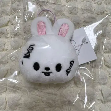 Stray Kids 리비트 리노 Popup 네임택