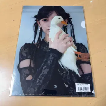 노기자카46 이케다 에레나 개인전 오리의 꿈 클리어 파일