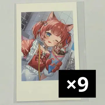 CR 아카미 카루비 Crazy Raccoon SELFIE 셀피 카드