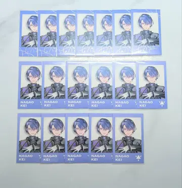 니지산지 나가오 케이 미카노가쿠 폴라로이드