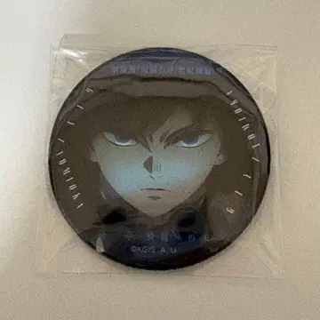 이야기하는 눈빛 컬렉션 캔뱃지 A 토미오카 기유