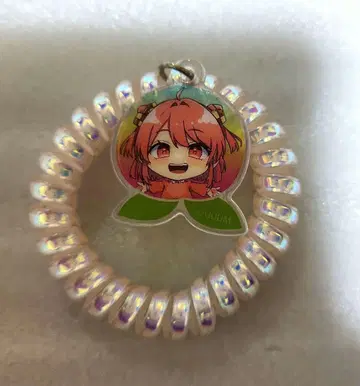 컬러풀 피치 노아 코일 머리끈