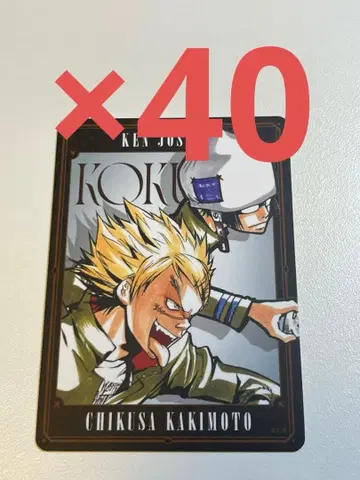 REBORN 보드게임 카키모토 치구사 조시마 이누 40장 세트