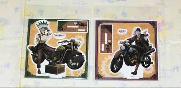 이시가미 센쿠 아사기리 겐 아크릴 스탠드 투링 Dr.STONE TOMS