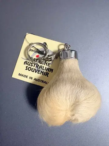 캥거루 금알 키링