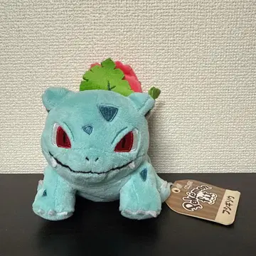 포켓몬 센터 한정판 이상해풀 Pokemon fit 봉제 인형