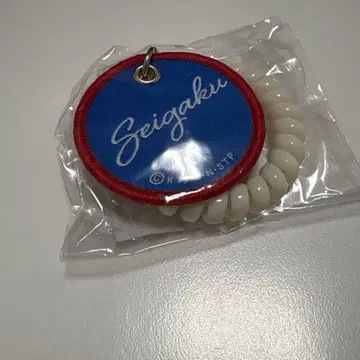 신 테니스의 왕자님 테니프리 코일 참 테니페스 후지 슈스케