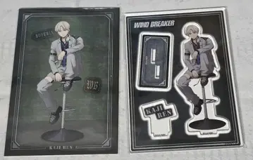 윈브레 WIND BREAKER 로프트 팝업 하이체어 카지 렌