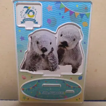 도바 수족관 랏코 키라 메이