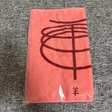 양문학 타월