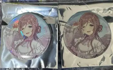 학마스 첫별 수족관 선샤인 수족관 히메사키 리나미 오로라 캔뱃지 2개