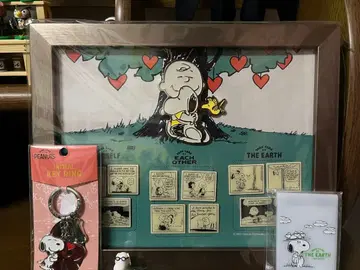 스누피전 한정판 스누피 배지 세트