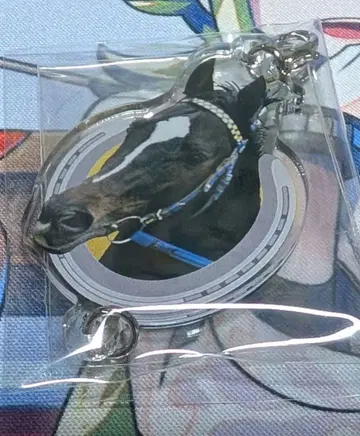 netkeiba 이어지는 아크릴 참 하츠 클라이