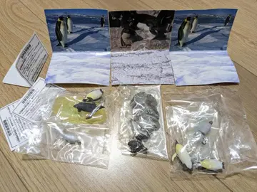 세계 자연 동물 해양편 황제펭귄 패밀리 왕펭귄 새상품 피규어