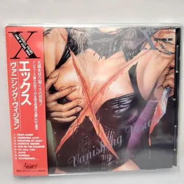 X JAPAN / VANISHING VISION