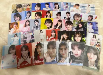 이코럽 타카마츠 히토미 브로마이드 장미 네이비 묶음 판매