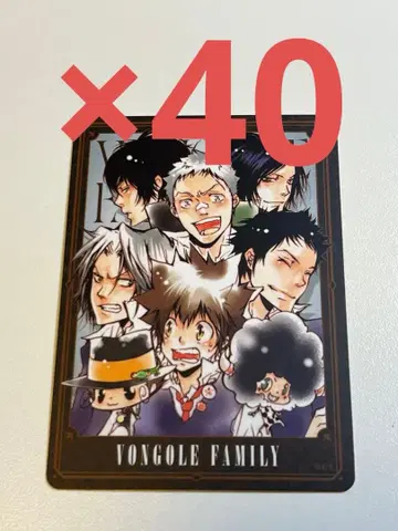 REBORN 보드게임 봉고레 패밀리 40장 세트