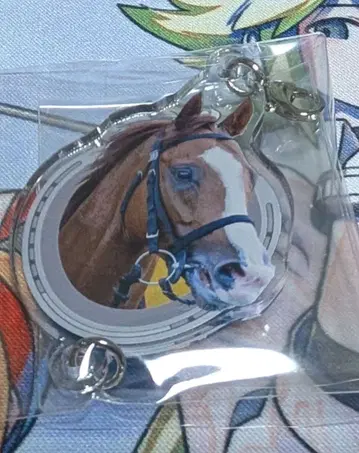 netkeiba 연결 아크릴 참 슈발그랑