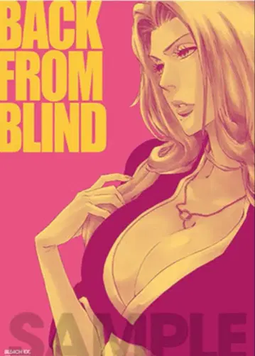 BLEACH EX. 오리지널 포스터 컬렉션 B 마츠모토 란기쿠 A3