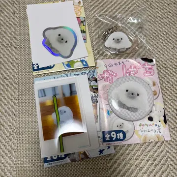 [내일 발송] 조세마루