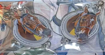 netkeiba 이어지는 아크릴 참 노투르노