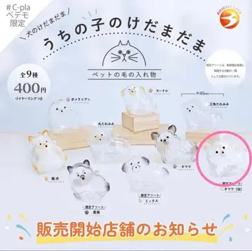 우리 아이 털뭉치 치와와 (화이트)