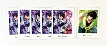 사쿠마 리츠 파샤츠 vol.6 Action Private