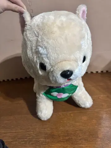 강아지 봉제 인형 콩 시바 삼형제