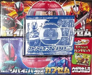 3점 가면라이더 캡슐