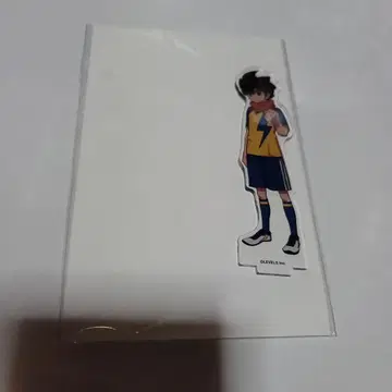 이나즈마 일레븐 엔도 하루 아크릴 스탠드