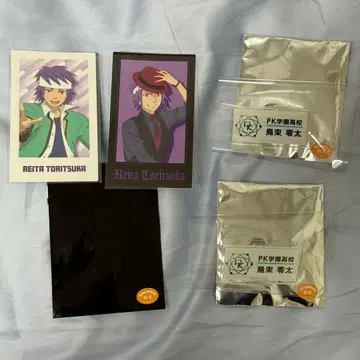 사이키 쿠스오의 재난 난자타운