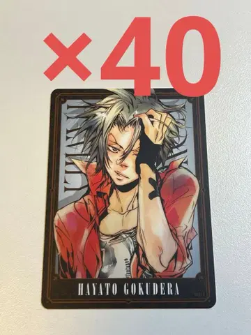 REBORN 보드게임 고쿠데라 하야토 440장 세트