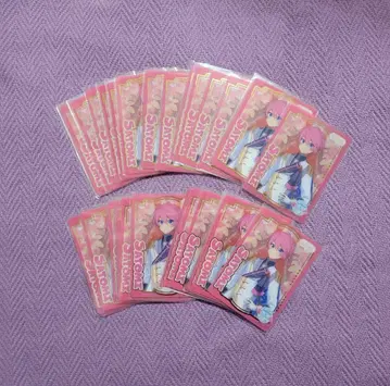 스토푸리 스토키스 35장 사토미