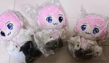 STPR 스토푸리 사토미