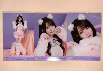 이코라브 오타니 에미리 브로마이드 컴프 고양이 의상