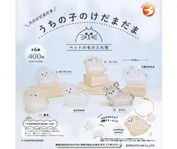 컴프 우리 아이의 털뭉치 강아지 털뭉치 전 6종 세트