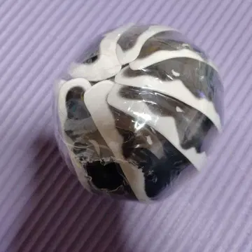 익명 배송 제브라 밴딩 생물대도감 어드밴스 쥐며느리 캡슐판