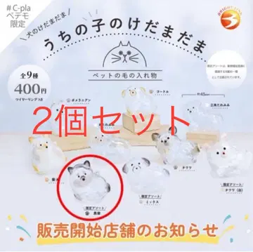 우리 아이 털뭉치 한정판 모듬 블랙 시바