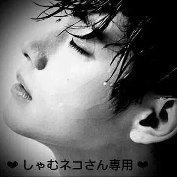 샤무 고양이 님