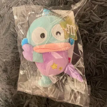 아베일 한교동 별자리 마스코트