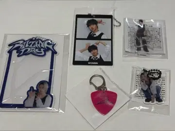 RIIZE 원빈 랜덤 토이 랜토이 세트 묶음 판매