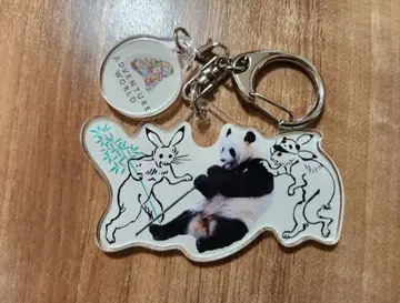 어드벤처 월드 x 조수기화 아크릴 키링 팬더 시크릿