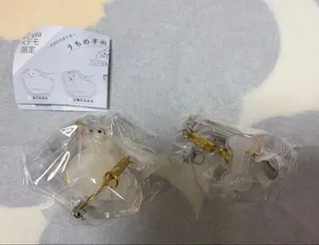 우리 아이 털뭉치 강아지 털뭉치 ( 시바견, 믹스 )