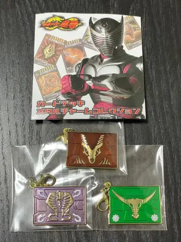 가면라이더 류우키 카드 데크 메탈 참 컬렉션