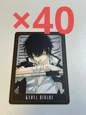 REBORN 보드게임 히바리 쿄야 1 40장 세트