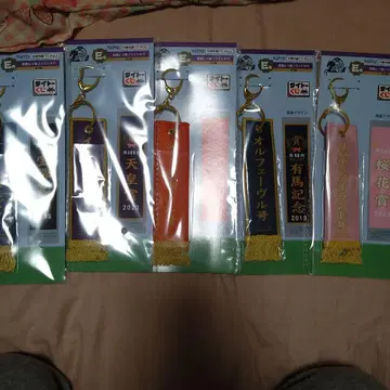 다이토 복권 우승 레이풍 플라이트 택 세트