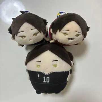 하이큐!! 스나 린타로 모치마스 후와코로링