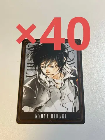 REBORN 보드게임 히바리 쿄야 2 40장 세트