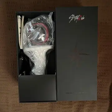 Stray Kids 공식 응원봉