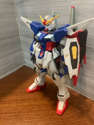 1/100 디스티니 정크 완성품